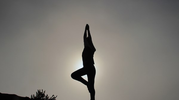 Tuesday's Summer Awakening