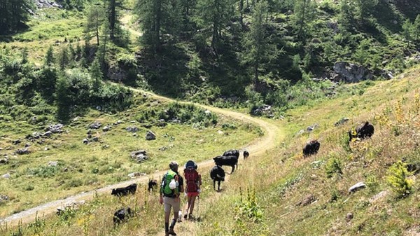 Walking excursion to Mont Crammont