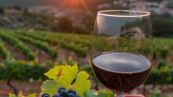 When the wine becomes poetry