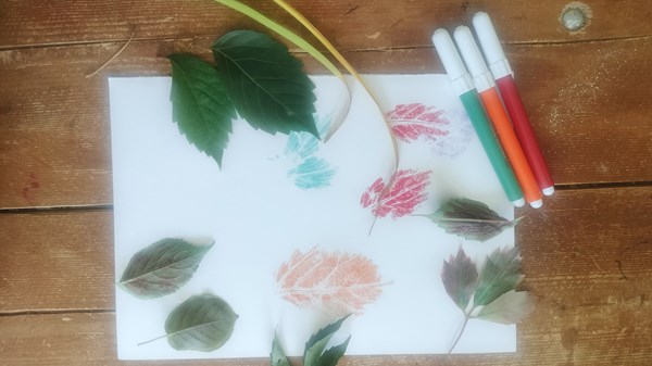 I colori dell’autunno – giochiamo con la natura