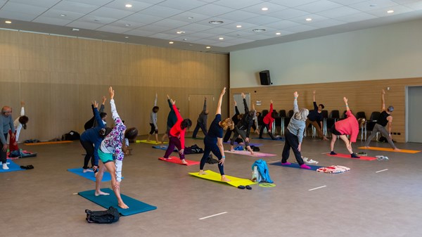 Vibes - Movimento Suono Colore