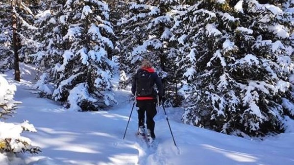 Promenade en raquettes de neige à Barmasc