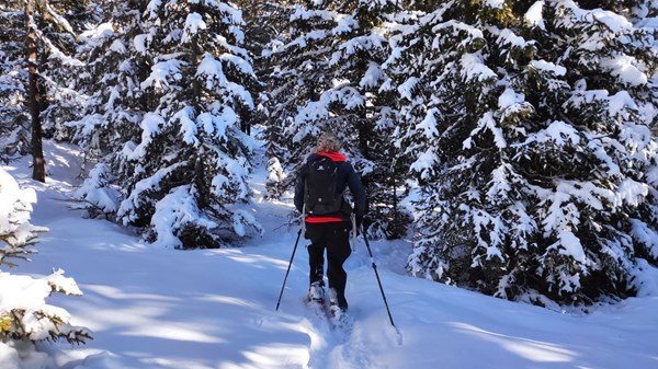 Promenade en raquettes avec apero, à Mandrou