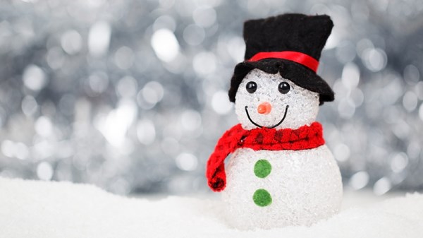 Duo Papillon e il pupazzo di neve