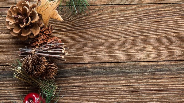 Workshop "Una ghirlanda per Natale"