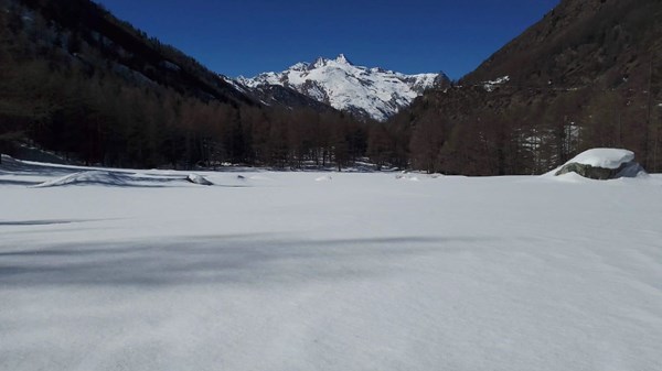 Ciaspolando alle origini di Cogne