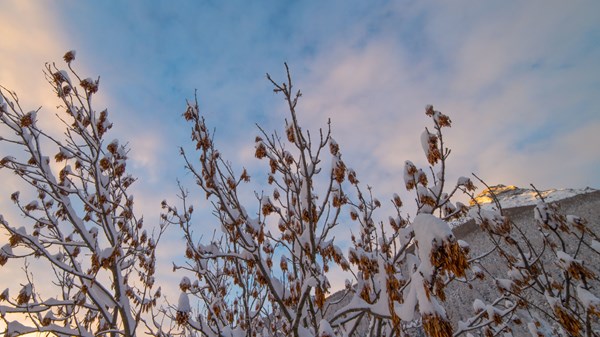 Cogne Outdoor - Mindful in Epinel