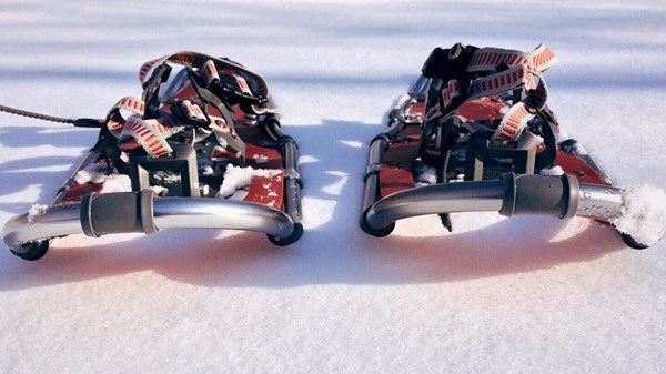 Meraviglia d'inverno