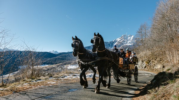 Balade panoramique en calèche