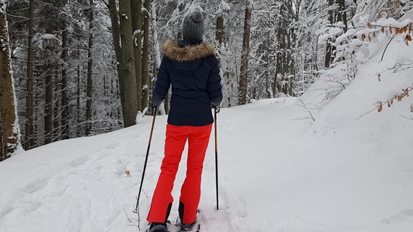 Snowshoeing in company