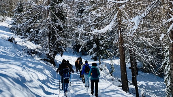 Raquettes à neige à la découverte du Val d'Ayas