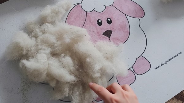 Il risveglio della natura - La lana che scalda