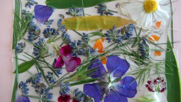 Germogli di creatività - Erbario Floreale