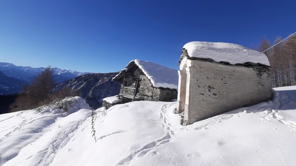 À la découverte des alpages et des forets d'Estoul



