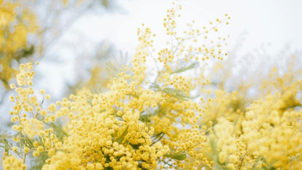 In Courmayeur, sport embraces the feminine