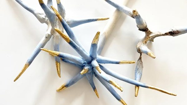 Visita guidata alla mostra Ad Atto