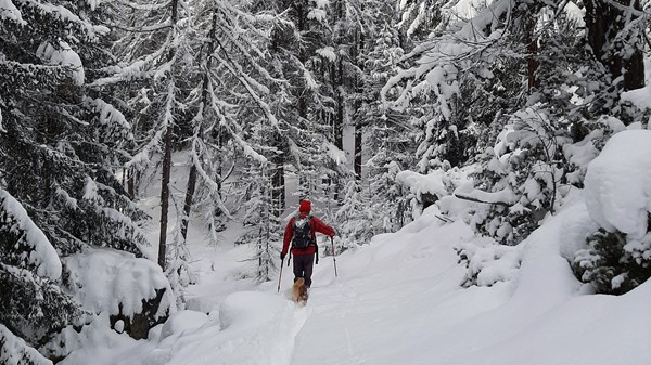 A snowshoe hike to savour: the Great Saint Bernard valley
