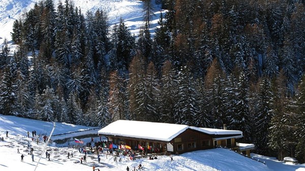 30 years of Hermitage