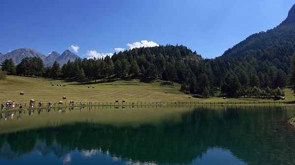 Vertical Saint-Vincent Col de Joux