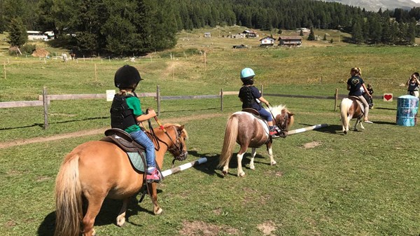 Summer Camp au Green Ranch 