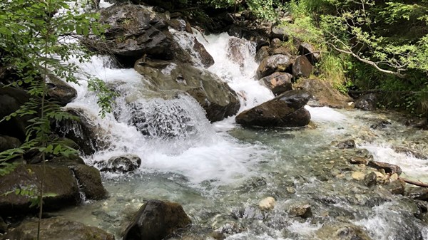  Presentazione del libro " Les eaux des petits "