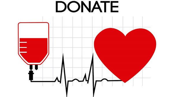 Il dono che germoglia - Il Dono diventa arte