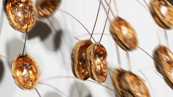 Ad Atto - Arte, Natura e Rigenerazione