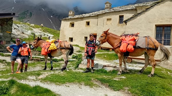 Mini trekking con i muli
