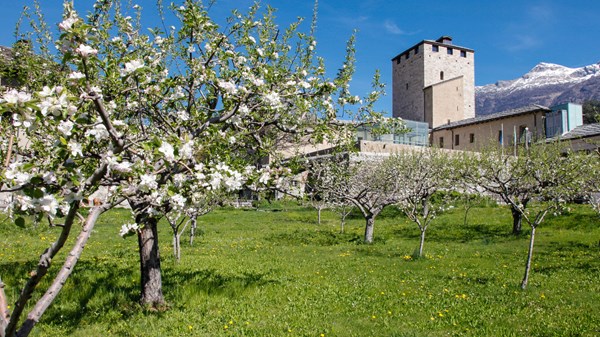 Il respiro di Aosta tra pietre e pagine - Passeggiata letteraria 