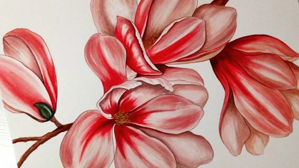 Universo femminile. Petali e delicatezza - Exposition d'art