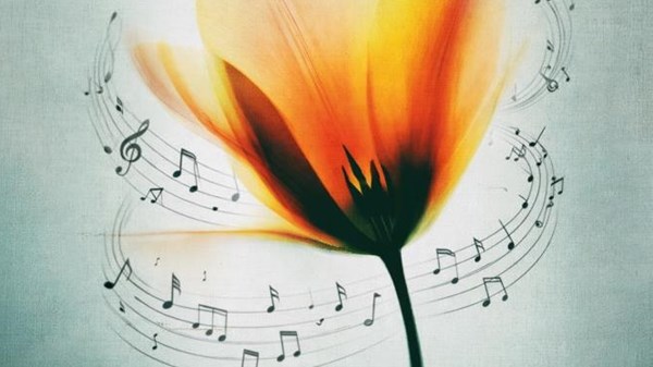 Printemps en Musique - Onde Sonore: Manzetti e l'innovazione