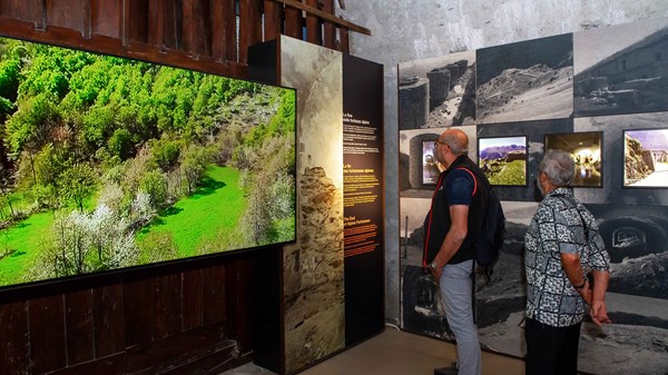 Conferenza: I musei fanno bene alla salute
