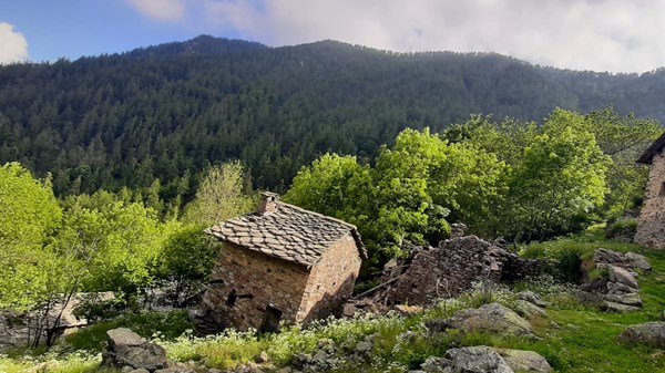 Perloz tra panorami , storia e fioritura della rara Paeonia Officinalis