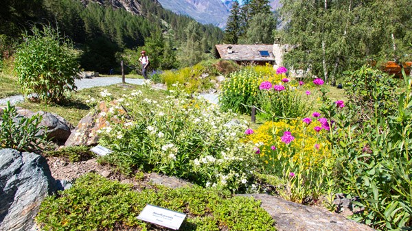 Curiosi per Natura: Semi sotto la lente