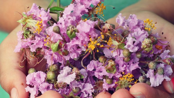 Cogne Outdoor - Recyclart Nature