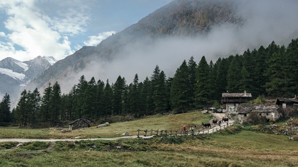 Cogne Outdoor - Dall'erba al latte