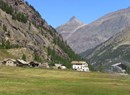 Fiha di Civet -  Festival of chamois in "civet"