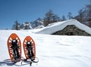 La neve è una cosa meravigliosa