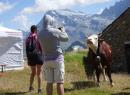 Alpages Ouverts - Un día entero en un pasto alpino