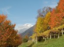 Lo Tor di foo: itinerant e-bike tour