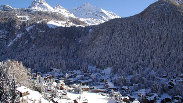 Accensione dell'albero di Natale