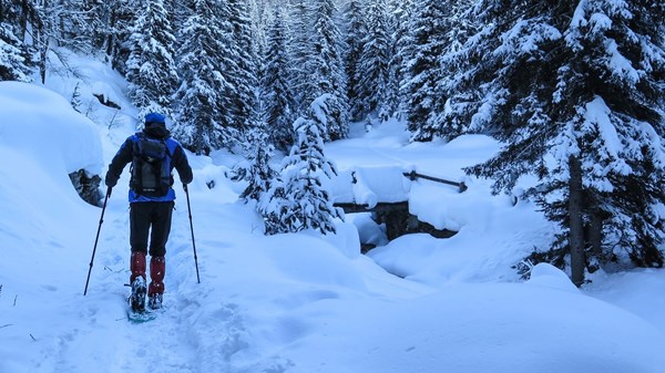 The granary of La Salle-Charvaz