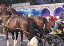 La Carrozza Magica - Tour in carrozza con cavalli