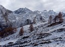 Randonnée en raquettes dans la Vallée de Cogne accompagnés par les guides du groupe Trek Alp.