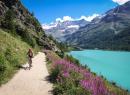 Valpelline and Grand Saint Bernard alpine guides association