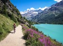 Société des guides Compagnie des guides  de la  Valpelline et du Grand Saint Bernard