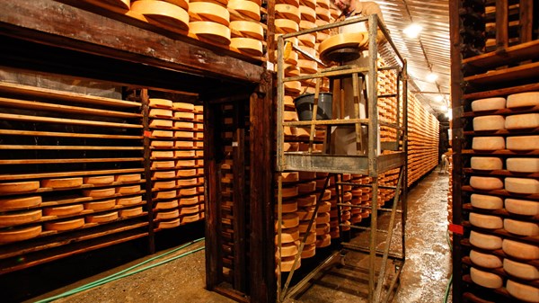 Magazzino di stagionatura della Fontina