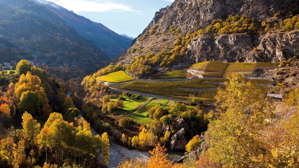 Winzergenossenschaft "Cave Coopérative de l’Enfer - CoEnfer"