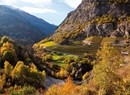 Cantina sociale "Cave Coopérative de l’Enfer - CoEnfer"