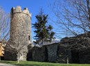 Singoli professionisti - Guide turistiche